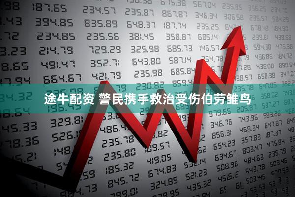 途牛配资 警民携手救治受伤伯劳雏鸟
