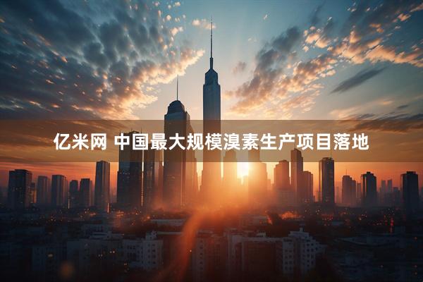 亿米网 中国最大规模溴素生产项目落地